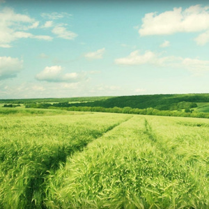 舒淇A|换脸A∨性图
