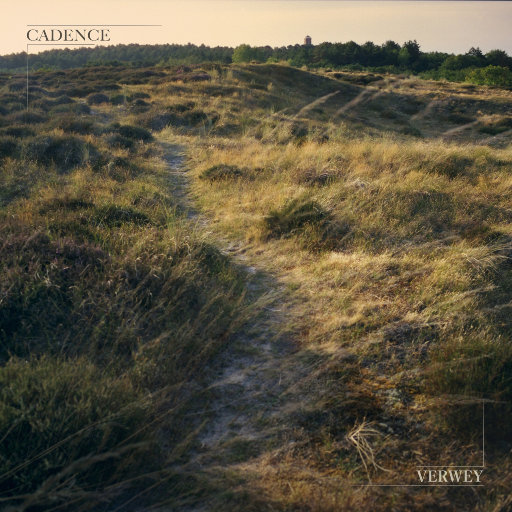 舒淇A|换脸A∨性图
